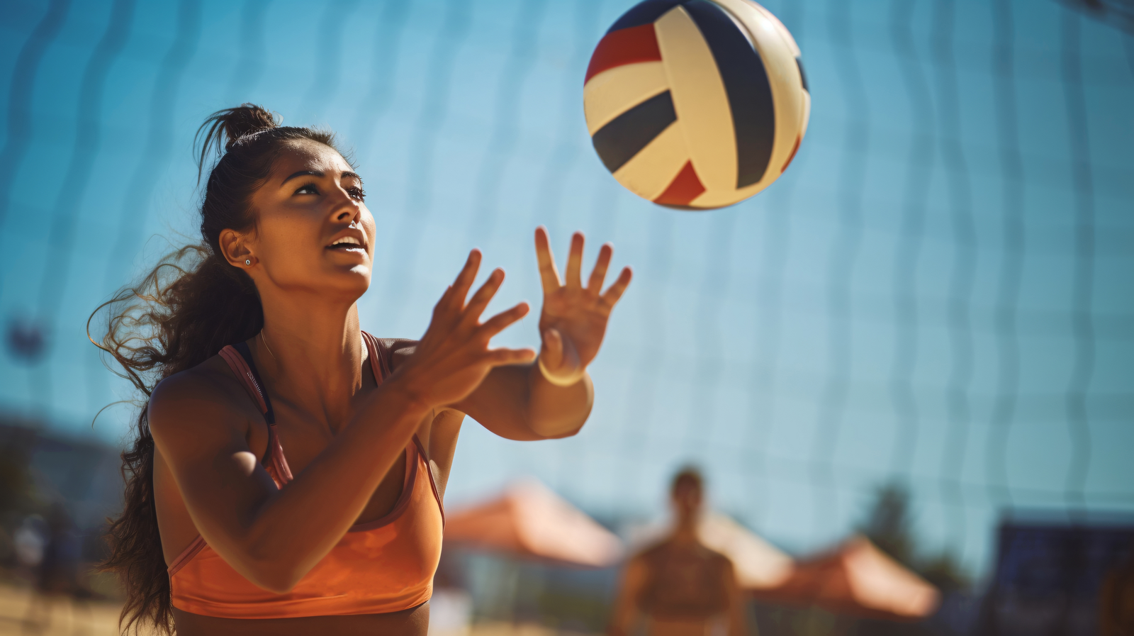 Volleyball Court Show