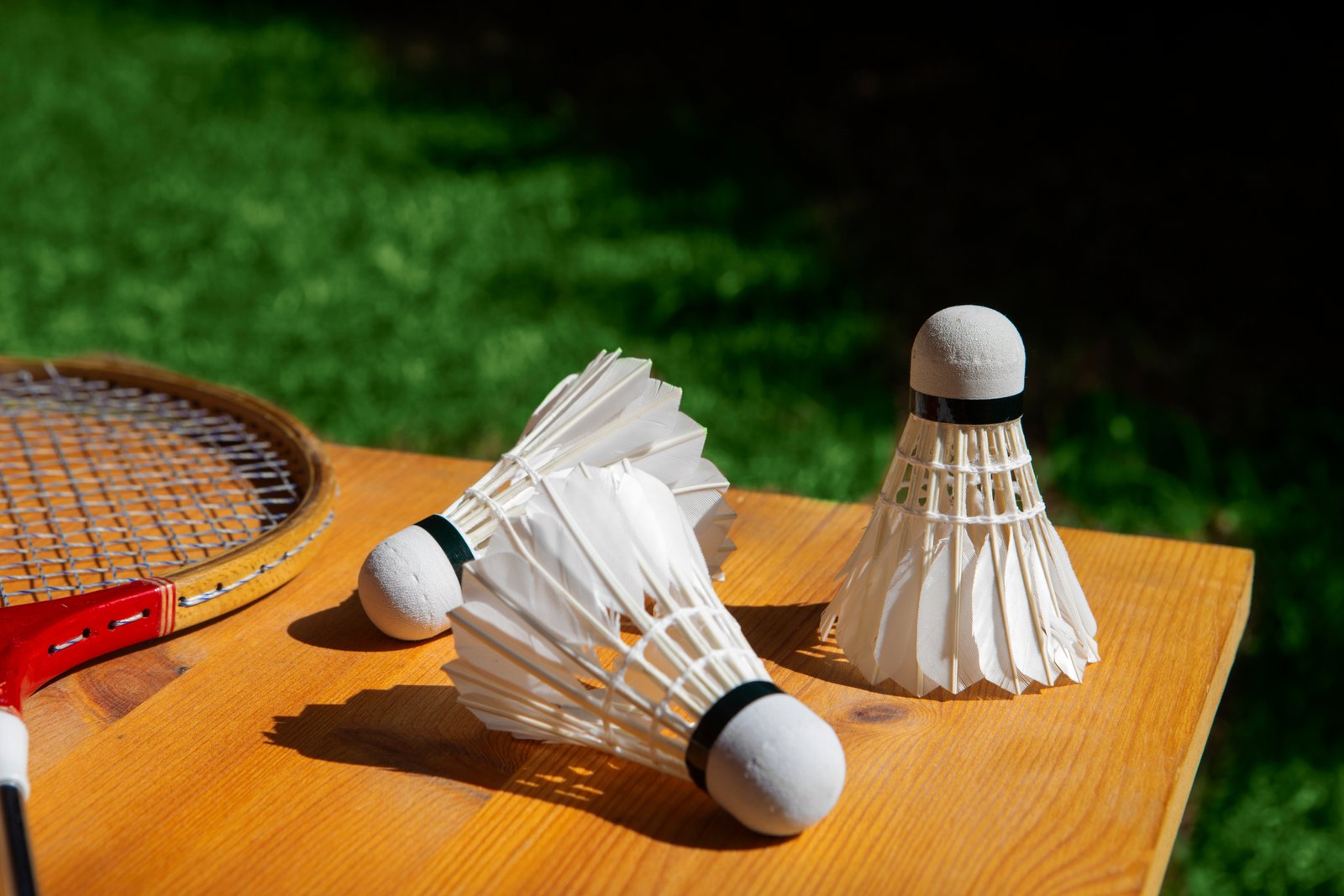 Badminton Court Flooring